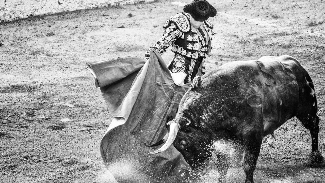 Decisión Histórica: Ciudad de México Suspende Todas las Corridas de Toros